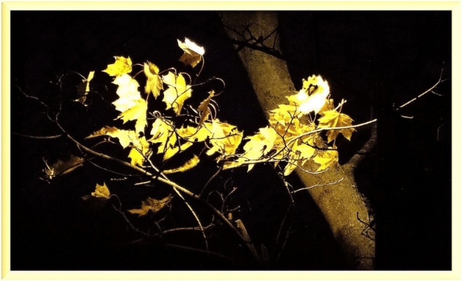 Эй, светлячок, поделись-ка светом!