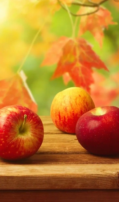 Он про неё...