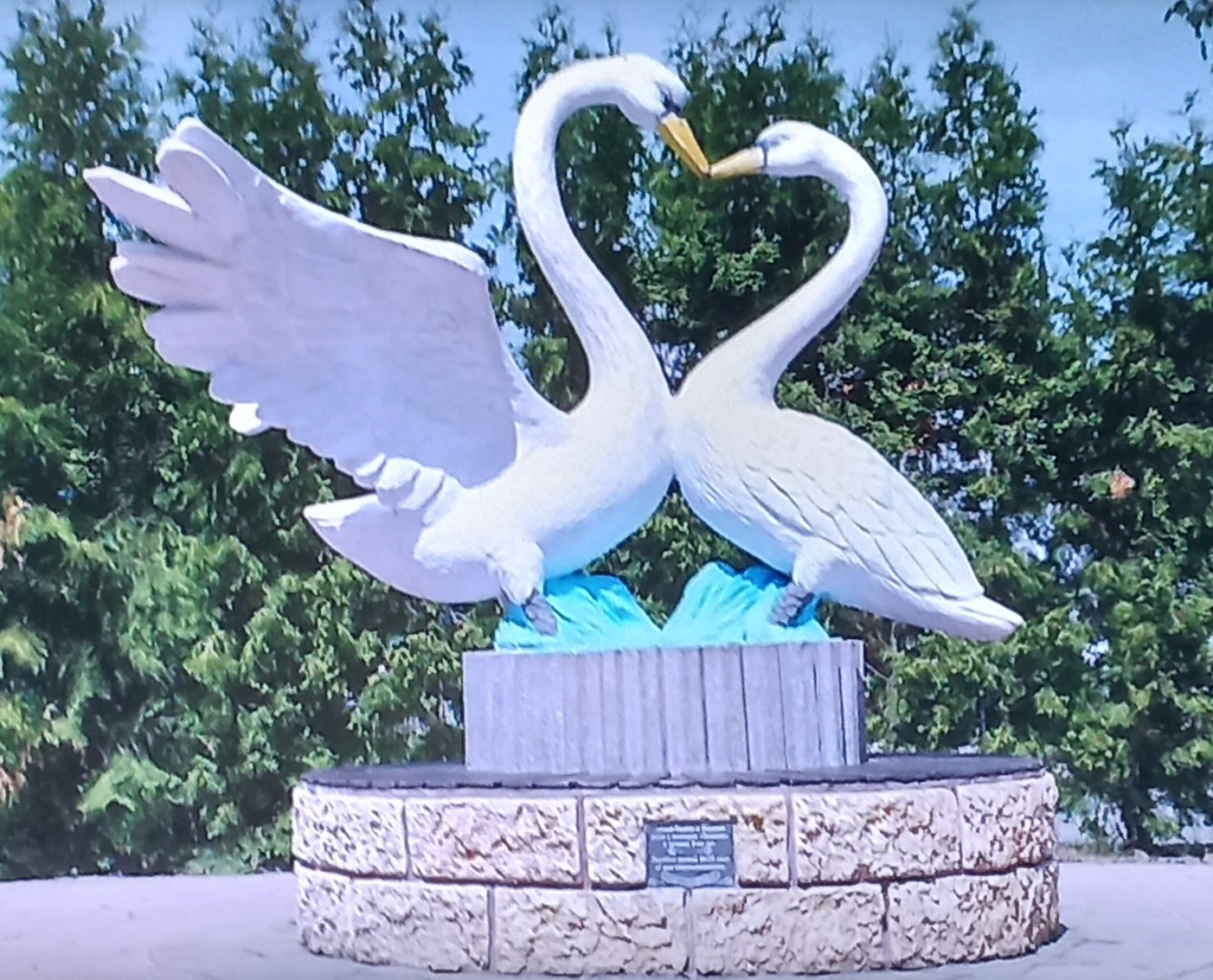 Лебединая любовь