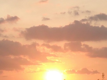 Зимняя тетрадь