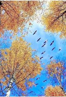 Осень золотая - дивная пора!