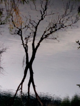 Едва настанет день