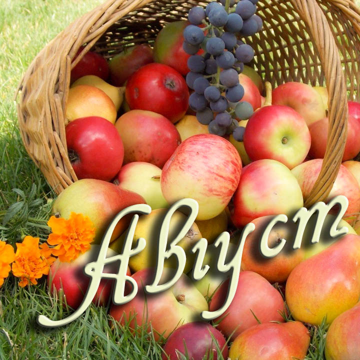 Picture background