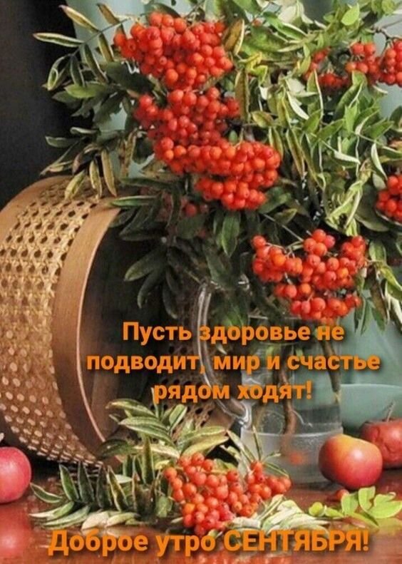 Утро Сентября Картинки Необычные