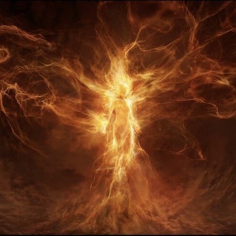 Глупая птица..