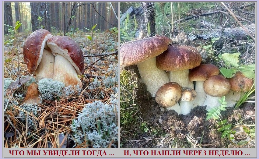 Наконец-то в любви далеко заглянул?