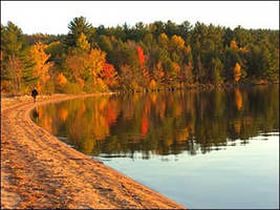 Дождь за окном