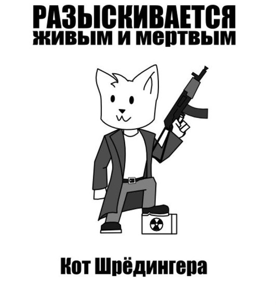 Юмор шредингера вконтакте