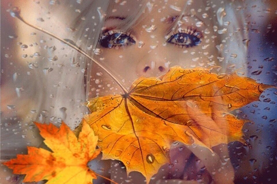 https://stihi.ru/pics/2023/09/16/4309.jpg
