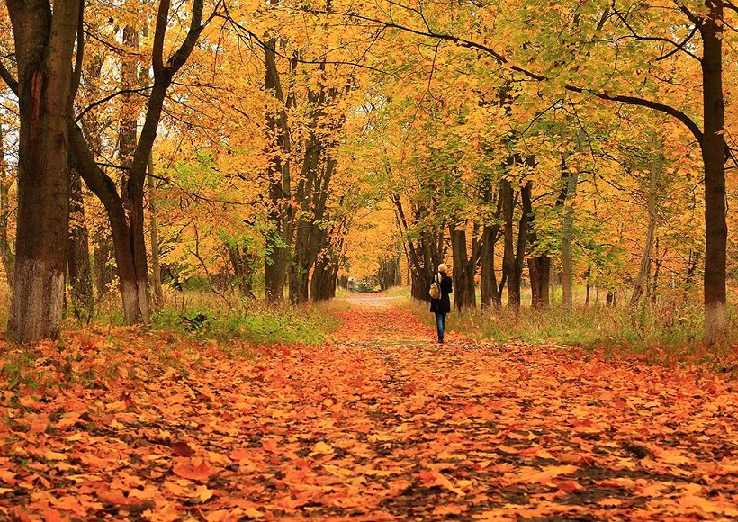 Иди. Броди. Молчи. Не говори