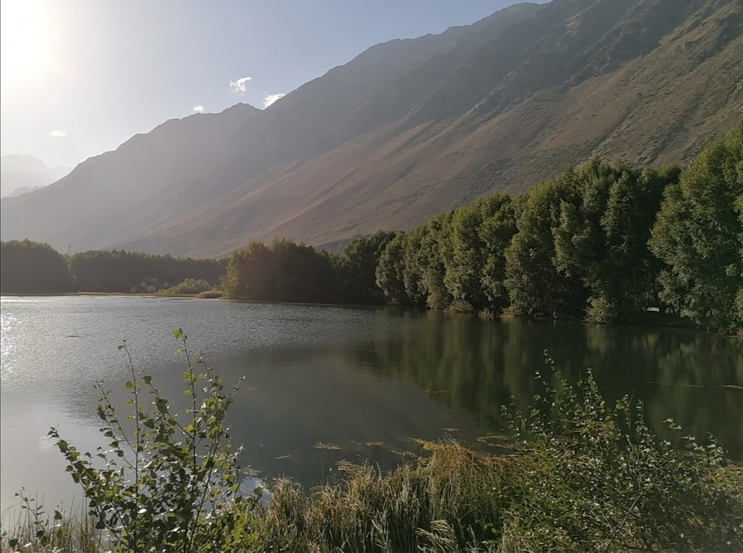 Было наивно лето