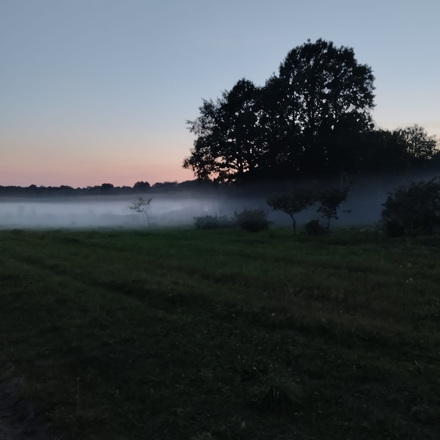 За околицей