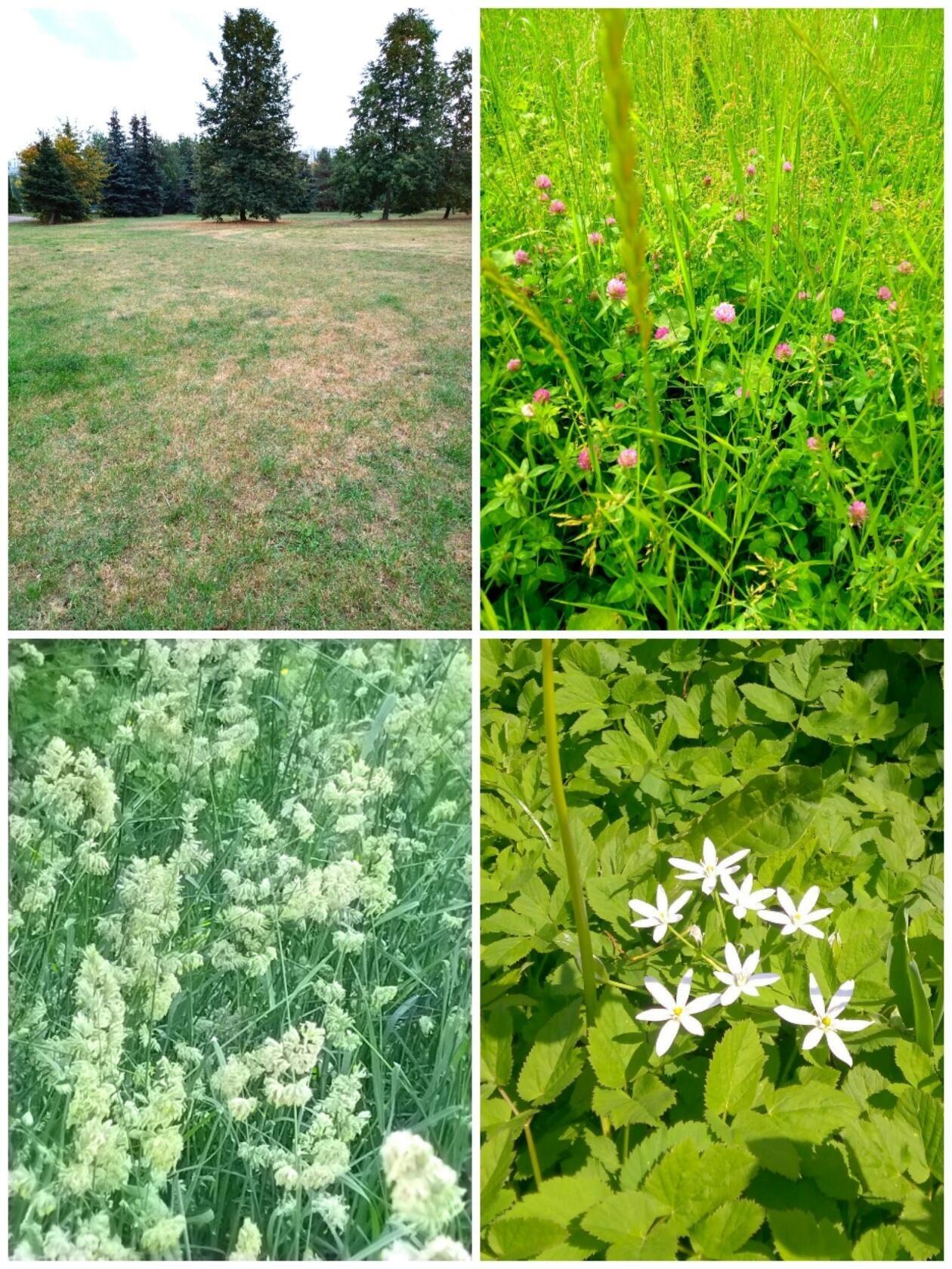 Туда бы, где ветер...