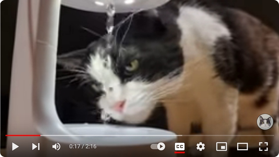 Капельница братьев Люмьер