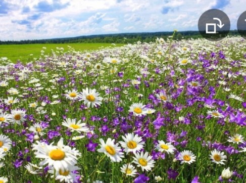 Поедем на поля