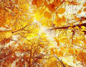 Вдруг, да ненароком