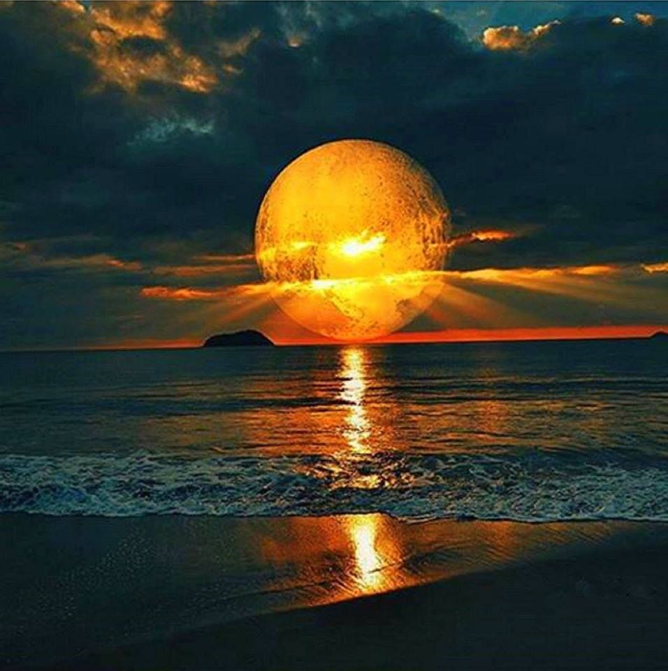 Ночь шептала