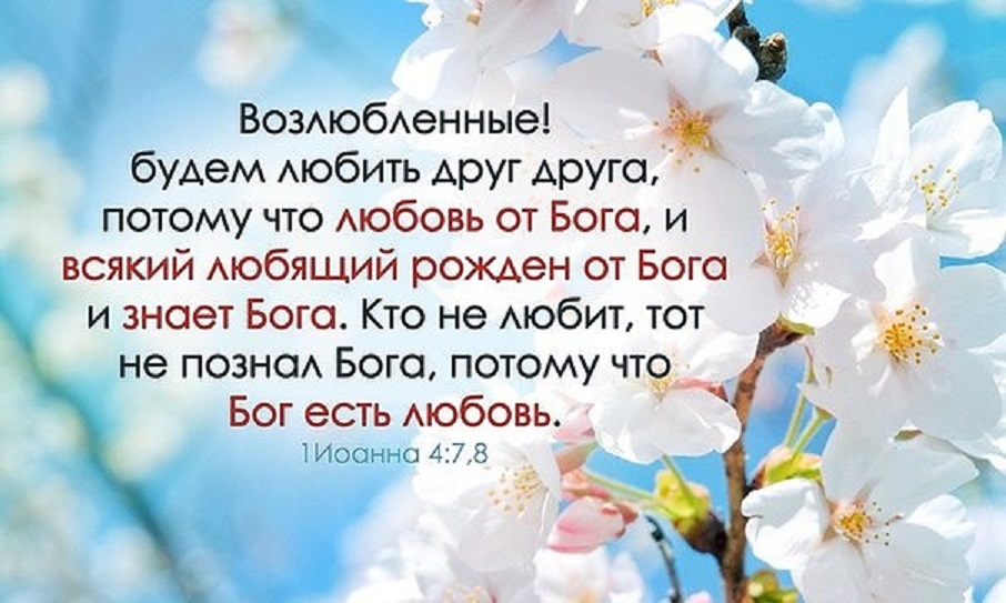 Поиск по библии по слову. Христианские открытки со стихами из Библии. Картинки с Цитатами из Библии. Стихи из Библии о любви. Христианские цитаты из Библии.