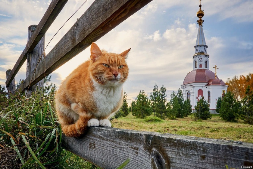 На крылечке старенькой церквушки...
