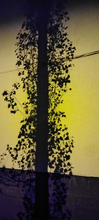 Никто не знает...