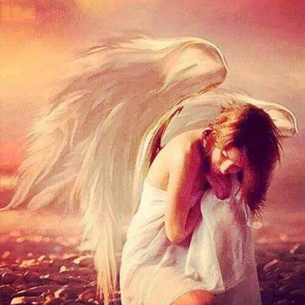 Сегодня нет Любви