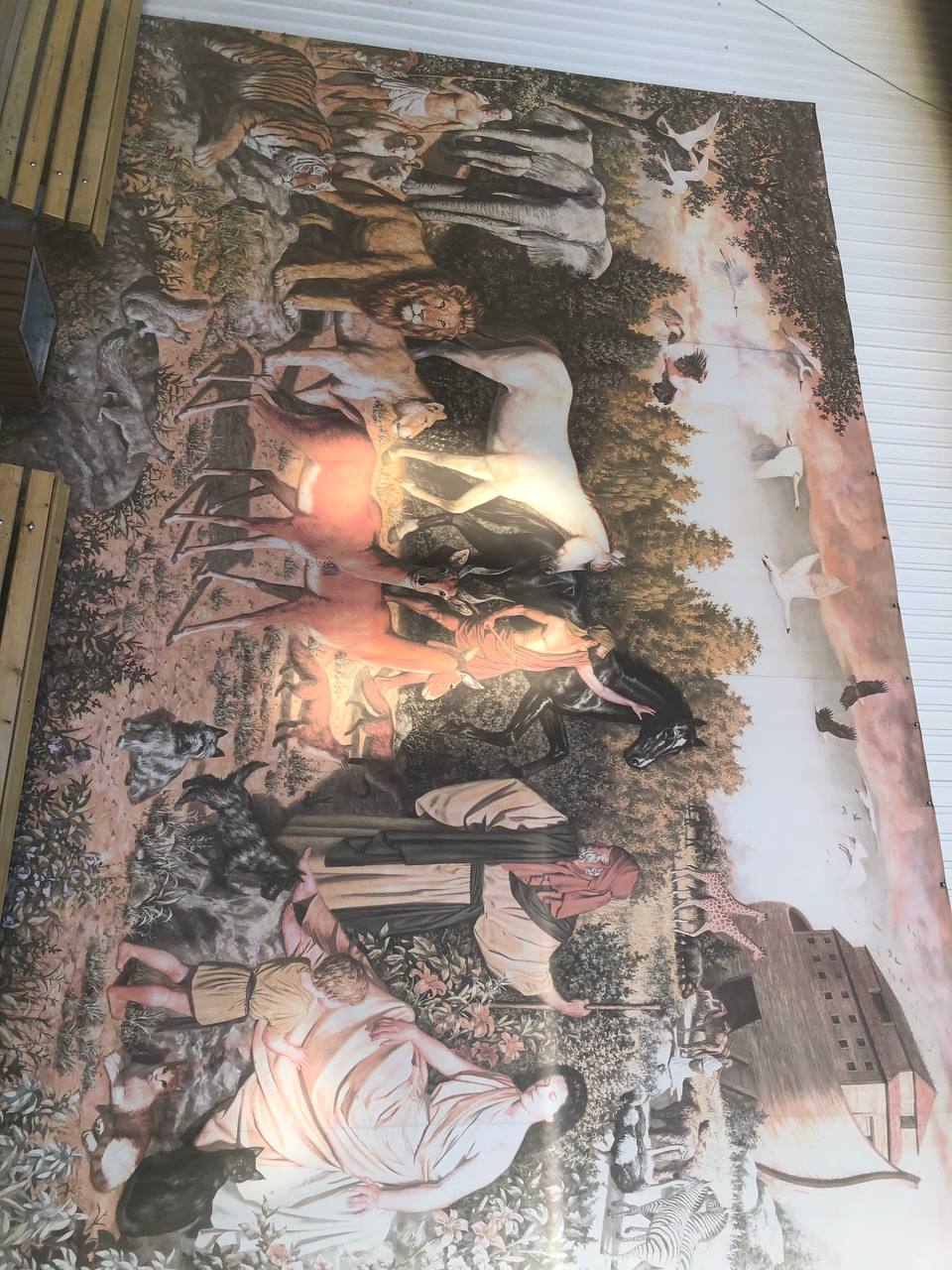 И всё же можно! Можно тигров встретить