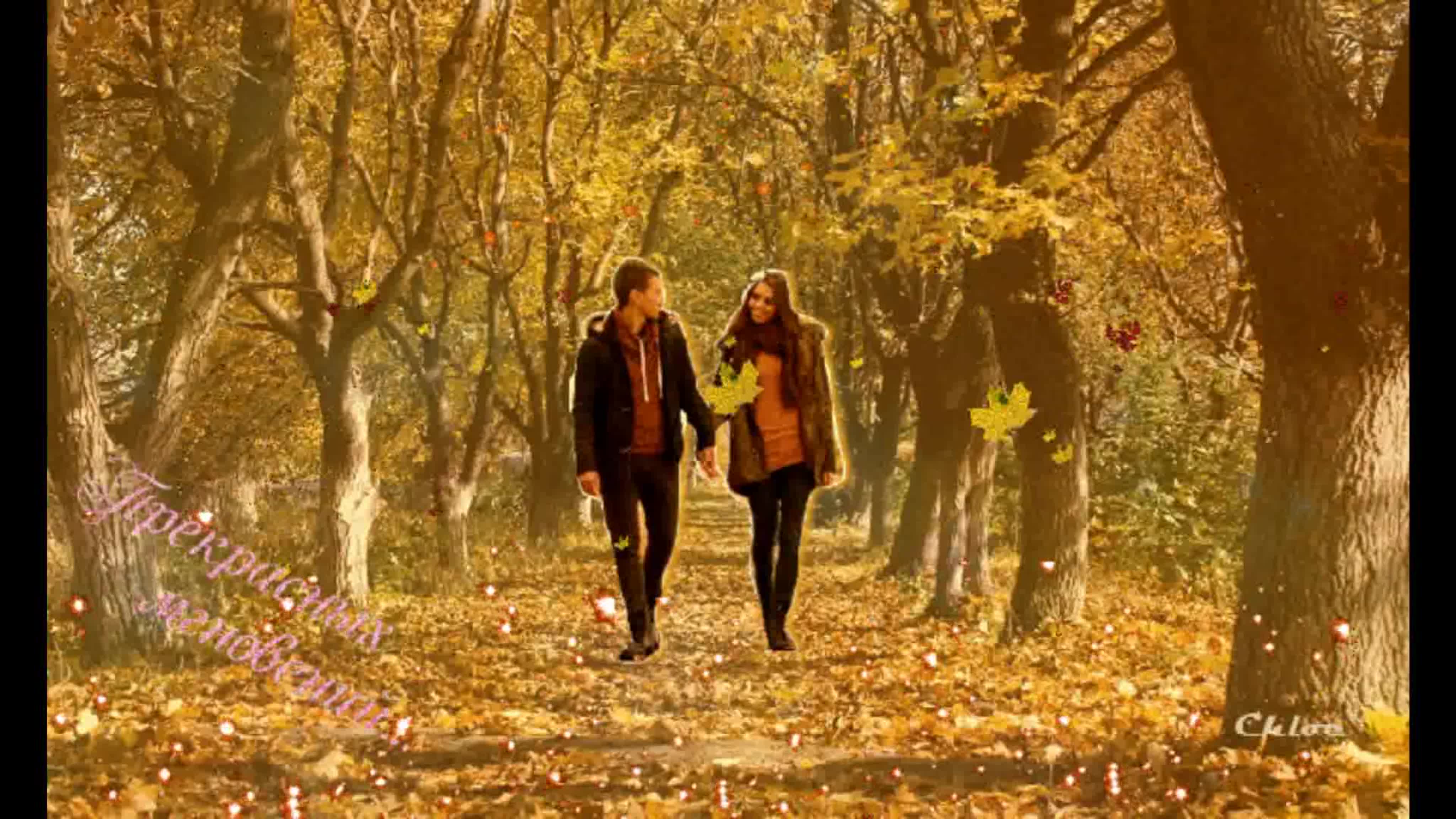 Ты гуляй гуляй парок. Осенняя прогулка. Прогулка в осеннем парке. Прогулка по осеннему лесу. Гулять в осеннем лесу.
