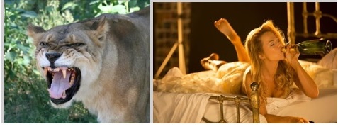 Когда земля. гл. 54. Взбесившаяся фурия