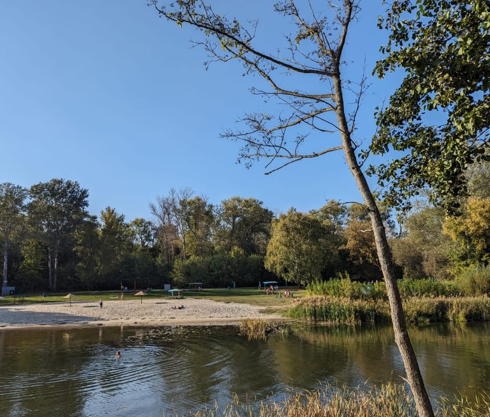 Скажи ка, Осень, что за милость