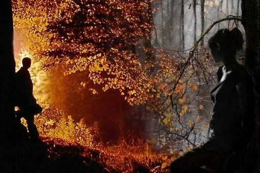 Я хочу вам рассказать о любви