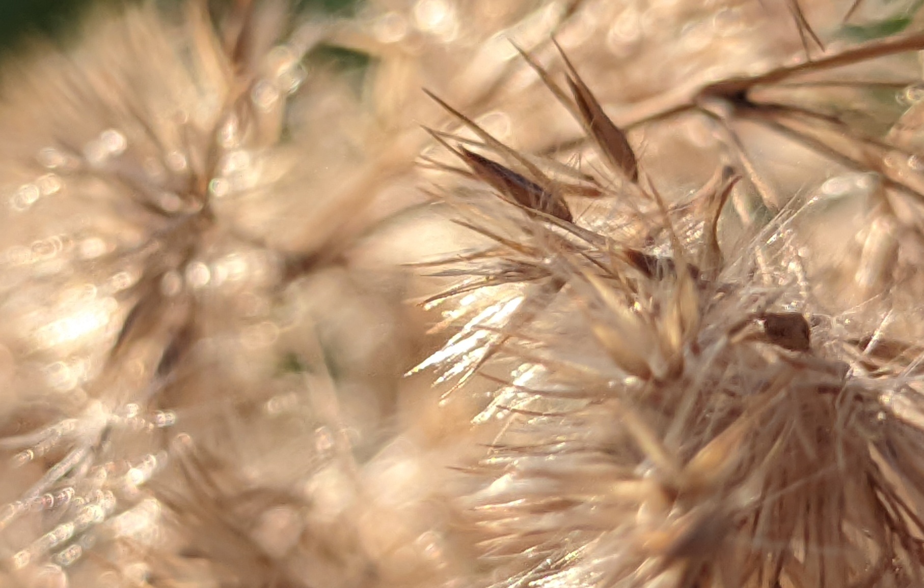 Многогранные мгновения