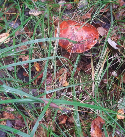 Если ТАК видишь