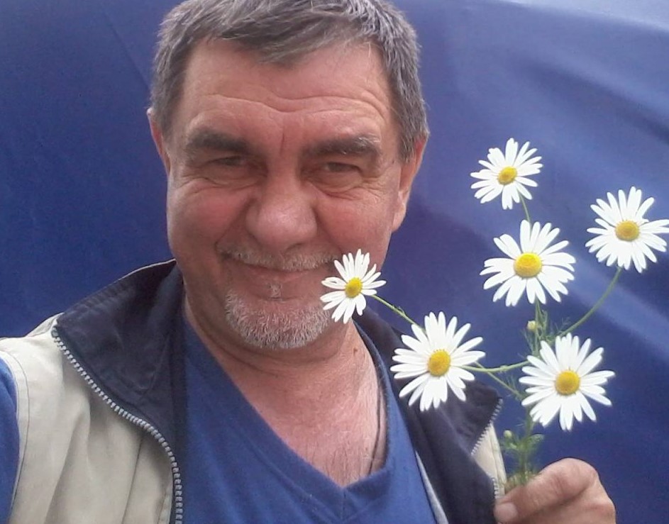 Погадайте на ромашке