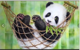 Анекдоты моей молодости. гл. 3. О животных