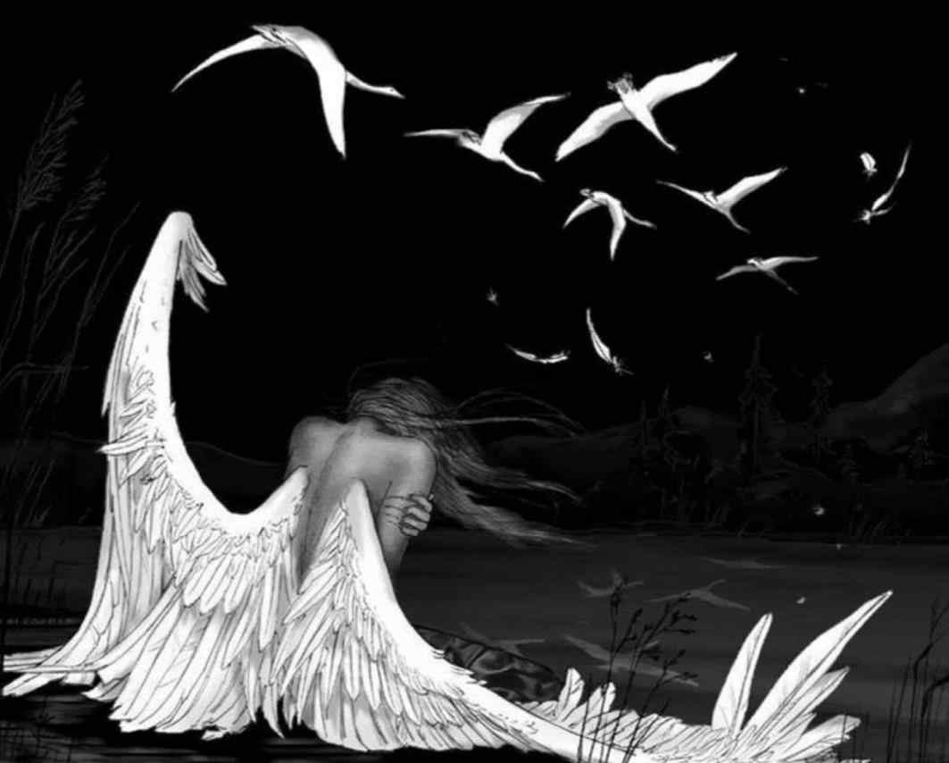 Я и душа - мы стая журавлей