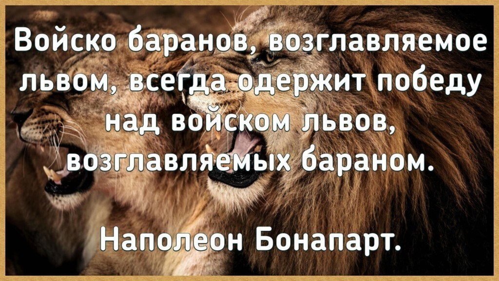 https://stihi.ru/pics/2023/10/04/6481.jpg
