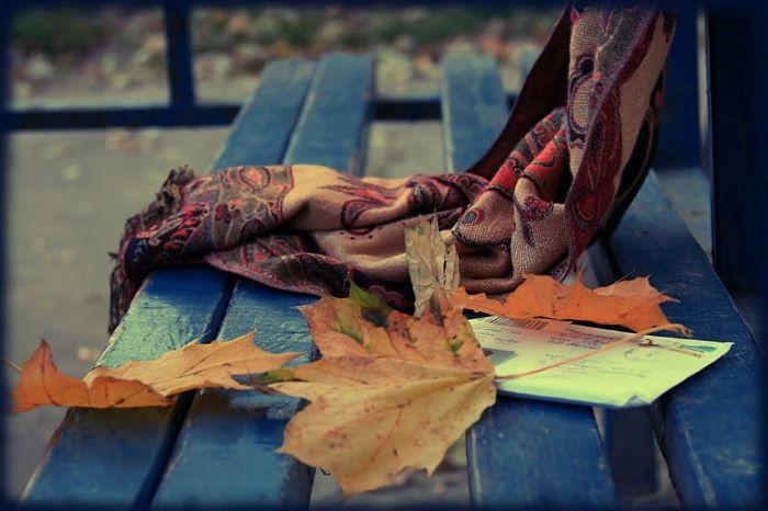 А листья в кронах снова цвета меди