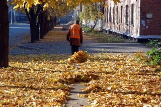 Мелодии ветра - триолет