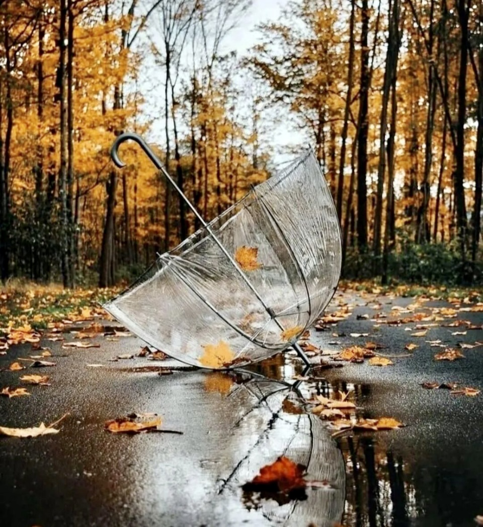 Пора дождей