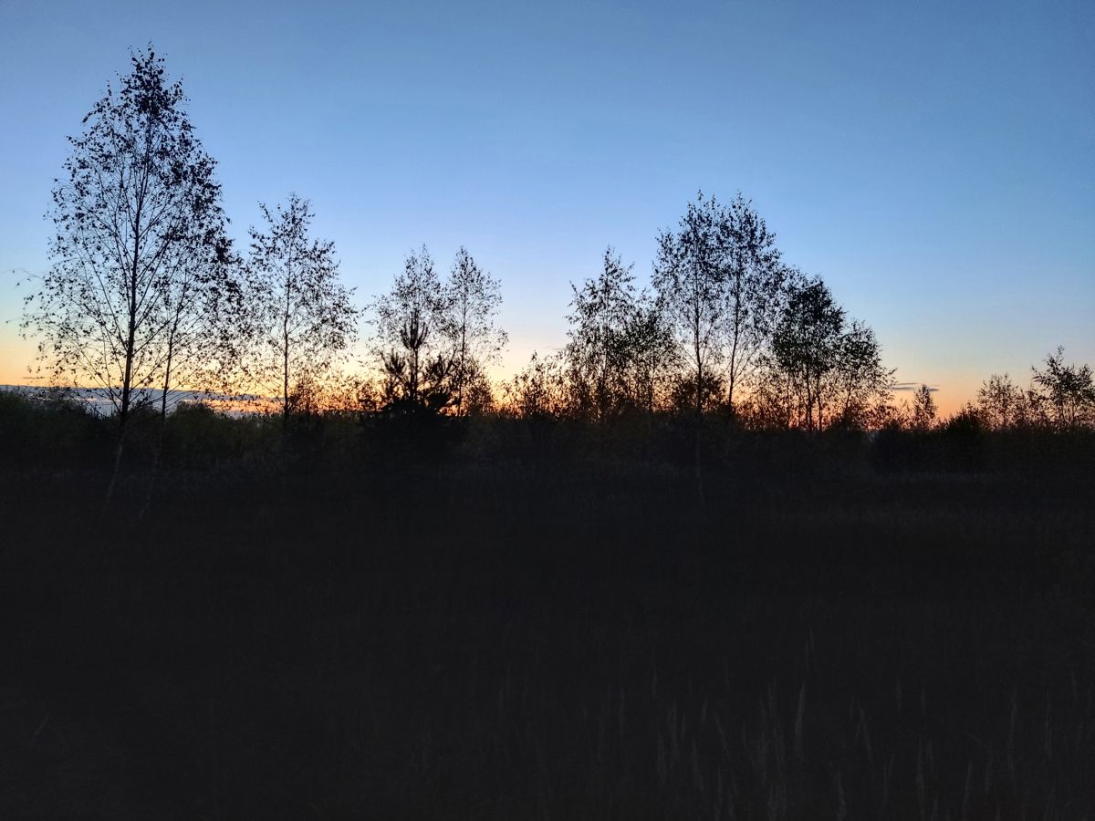 Заря косы с утра заплетала