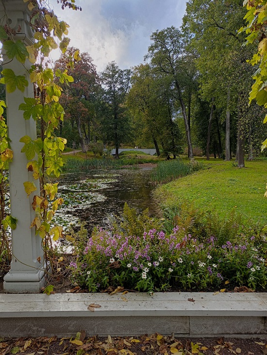 Александрия