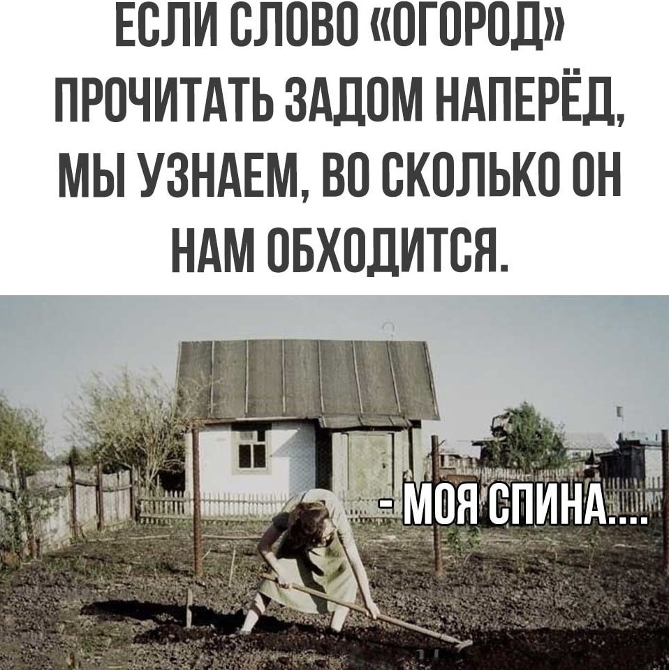 Если прочитать огород наоборот. Сколько обходится огород. Приспособление для вспашки земли на даче. Копка огорода вручную. Огород прочитать наоборот.