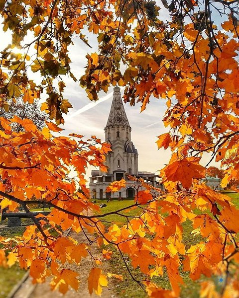 Я рисую осень