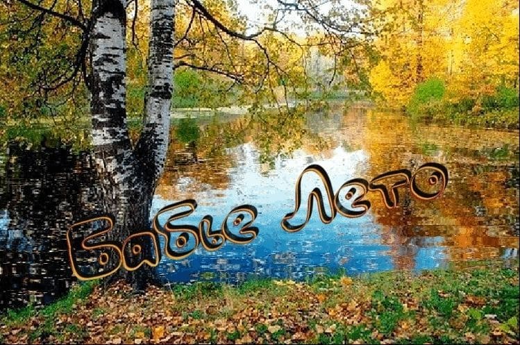 Бабье лето закончилось...