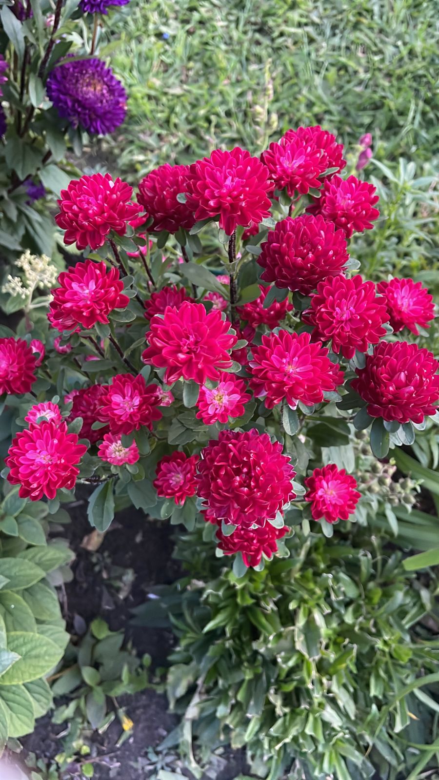 2. Внучке 7 лет!