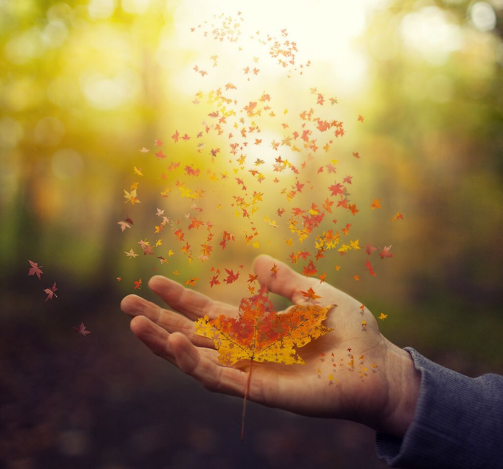 На семи ветрах