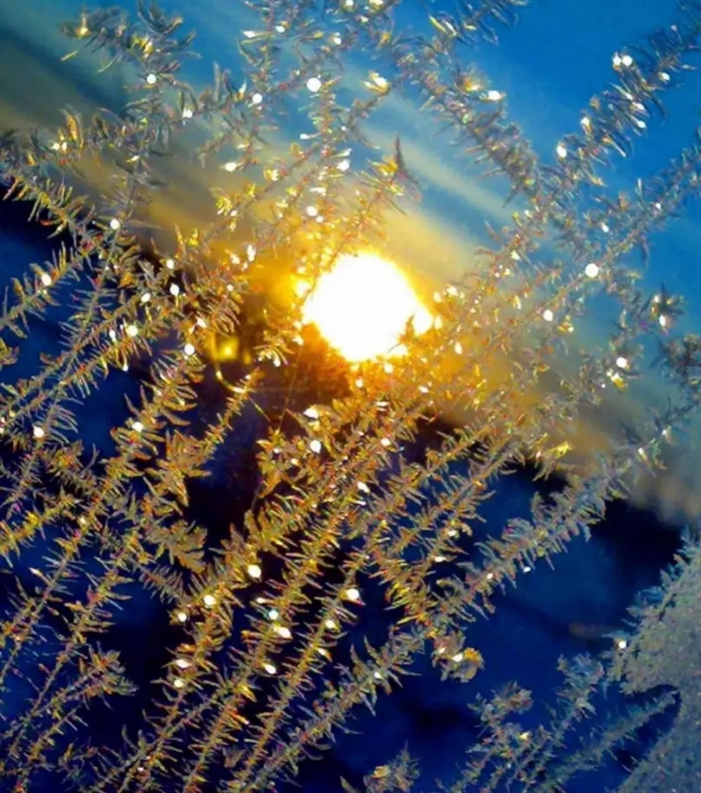Снег переливается на солнце. Зима солнце. Морозное солнечное утро. Морозное солнце. Снег искрится. Снег переливается на солнце. Зима солнце. Морозное солнечное утро. Морозное солнце. Снег искрится.