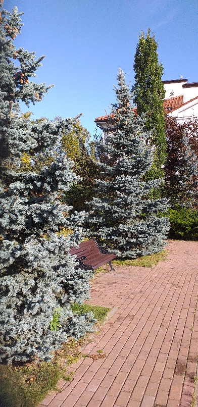 На лавочке