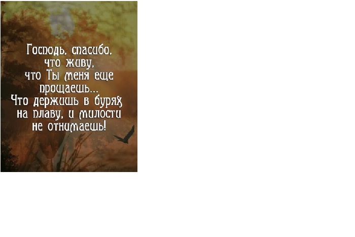 Господь, спасибо!