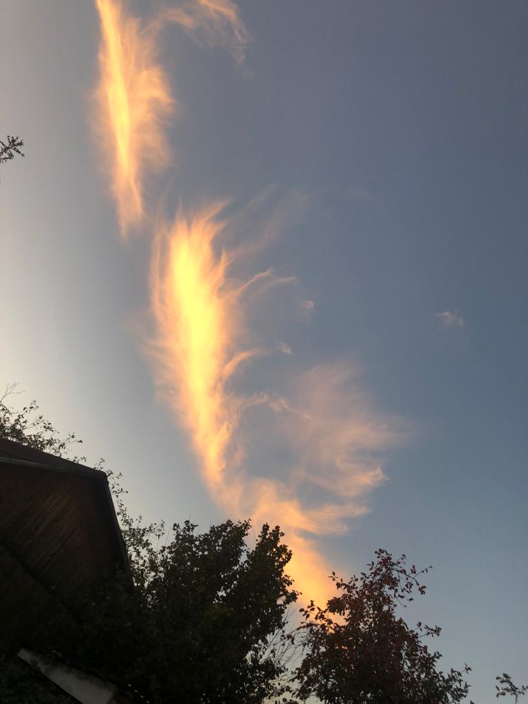 Осени, людям